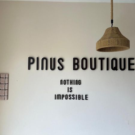 Hotel Hoi An Pinus Boutique Tan Thanh Zewnętrze zdjęcie