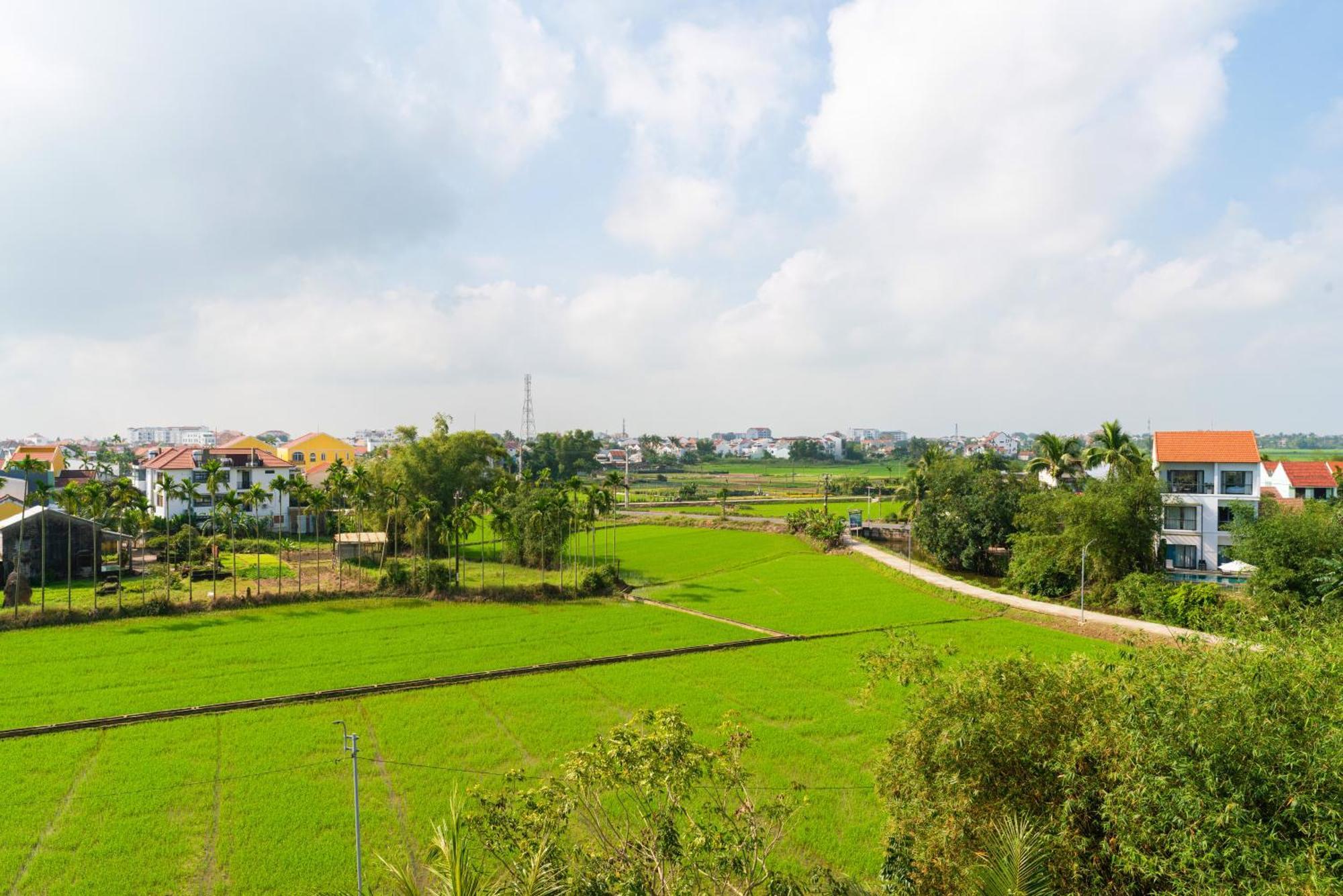 Hotel Hoi An Pinus Boutique Tan Thanh Zewnętrze zdjęcie