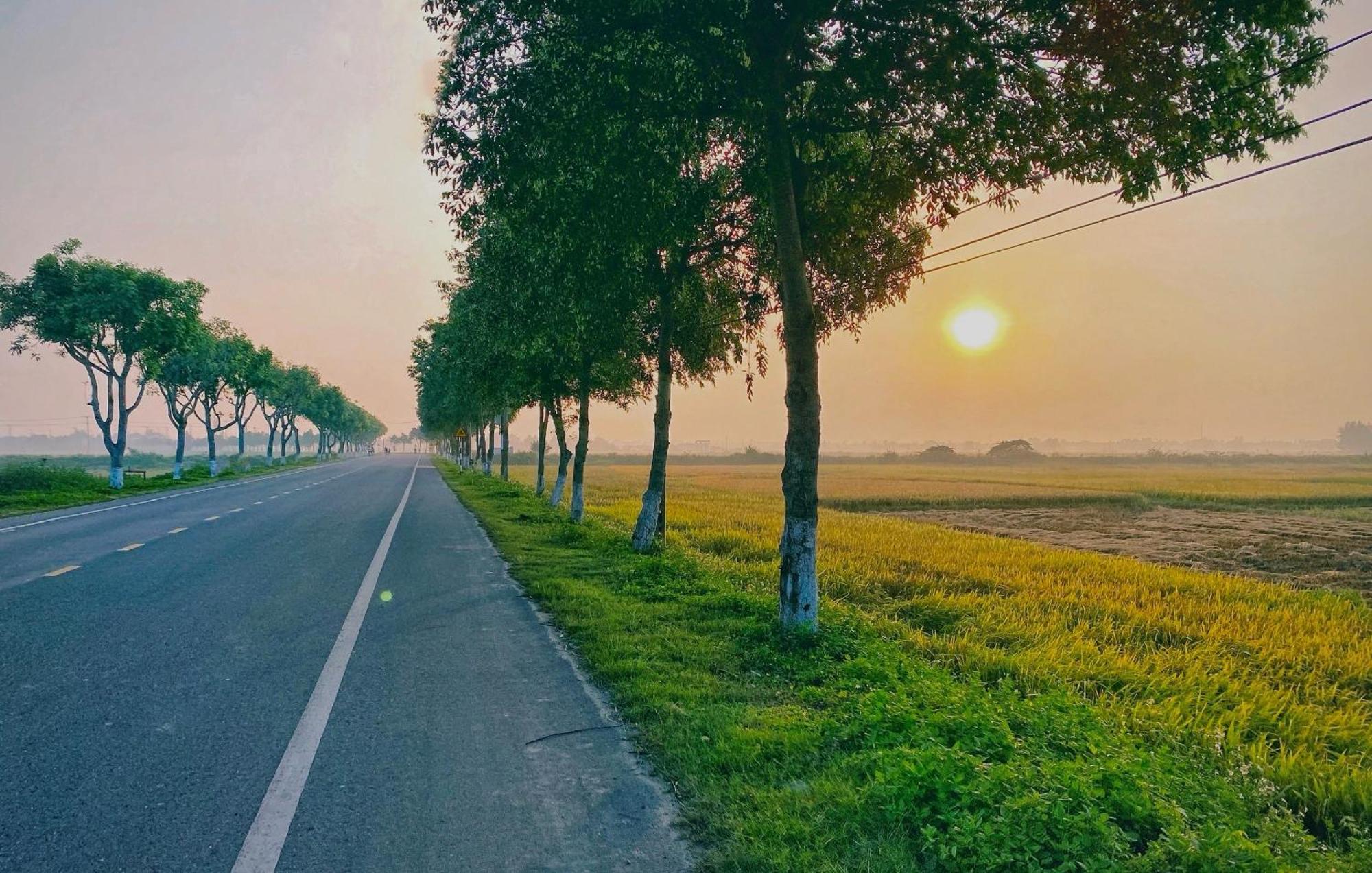 Hotel Hoi An Pinus Boutique Tan Thanh Zewnętrze zdjęcie
