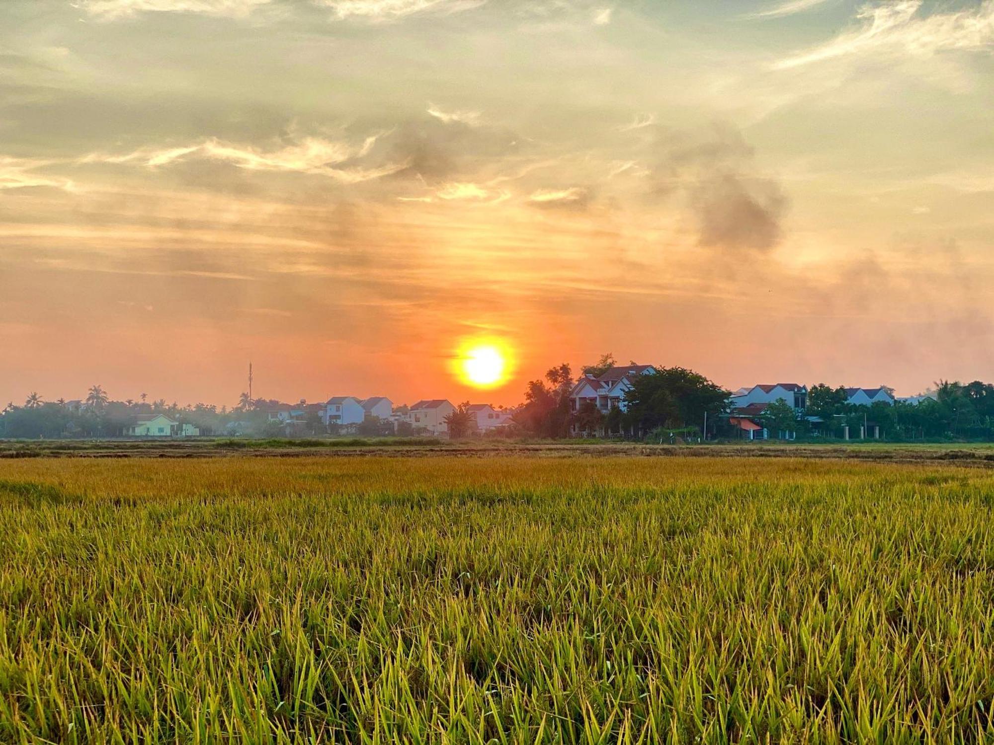Hotel Hoi An Pinus Boutique Tan Thanh Zewnętrze zdjęcie