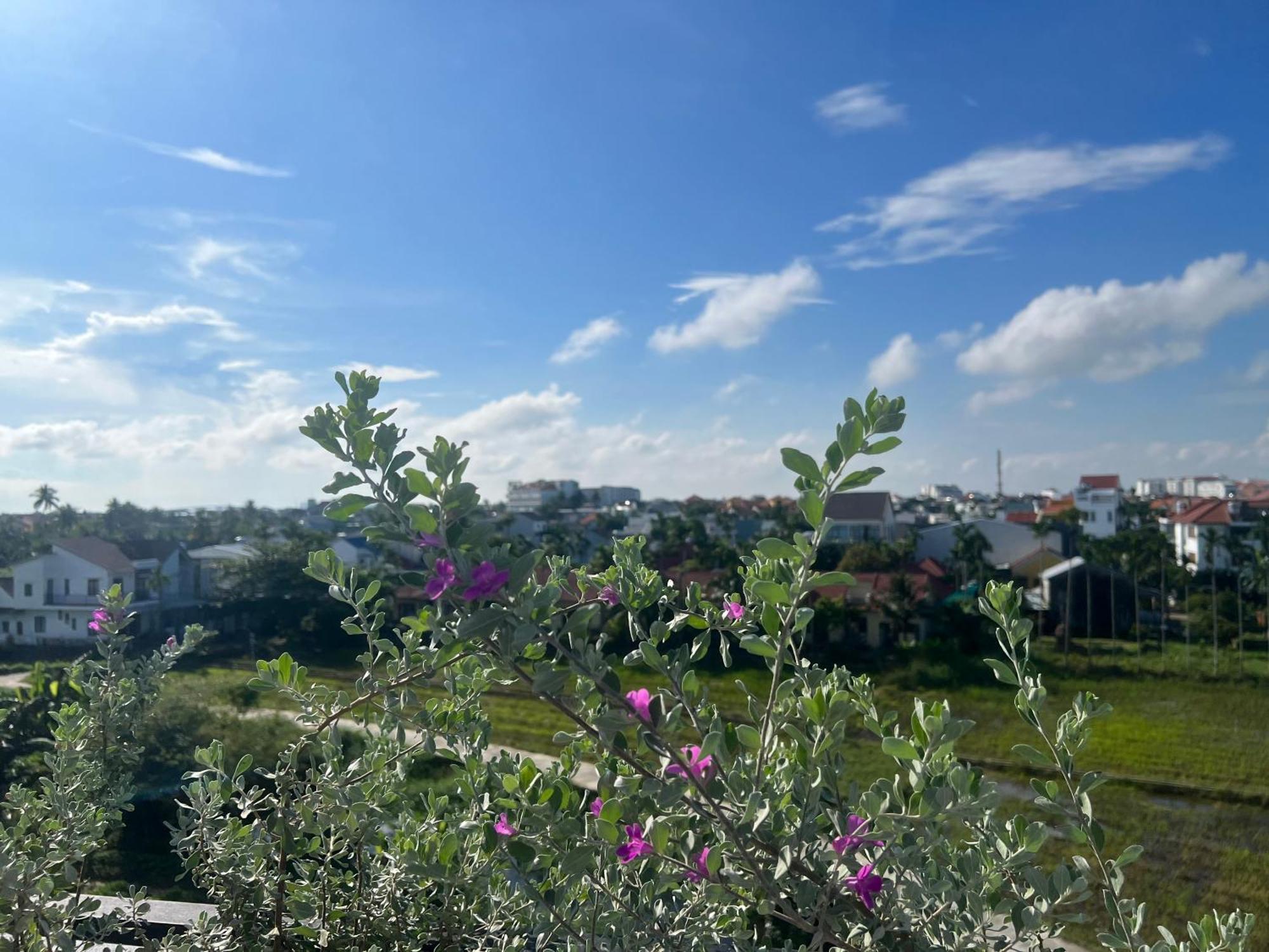 Hotel Hoi An Pinus Boutique Tan Thanh Zewnętrze zdjęcie