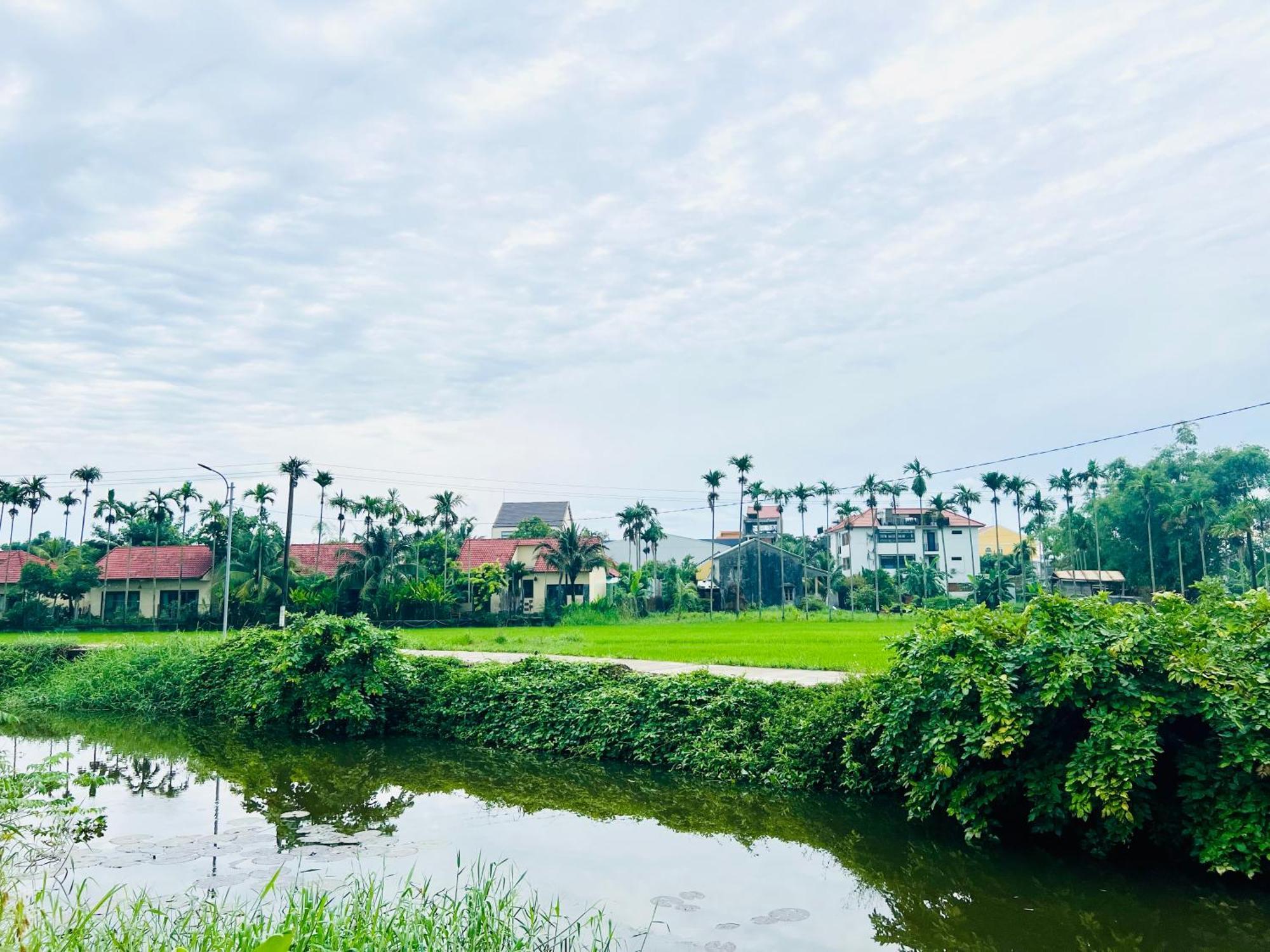 Hotel Hoi An Pinus Boutique Tan Thanh Zewnętrze zdjęcie